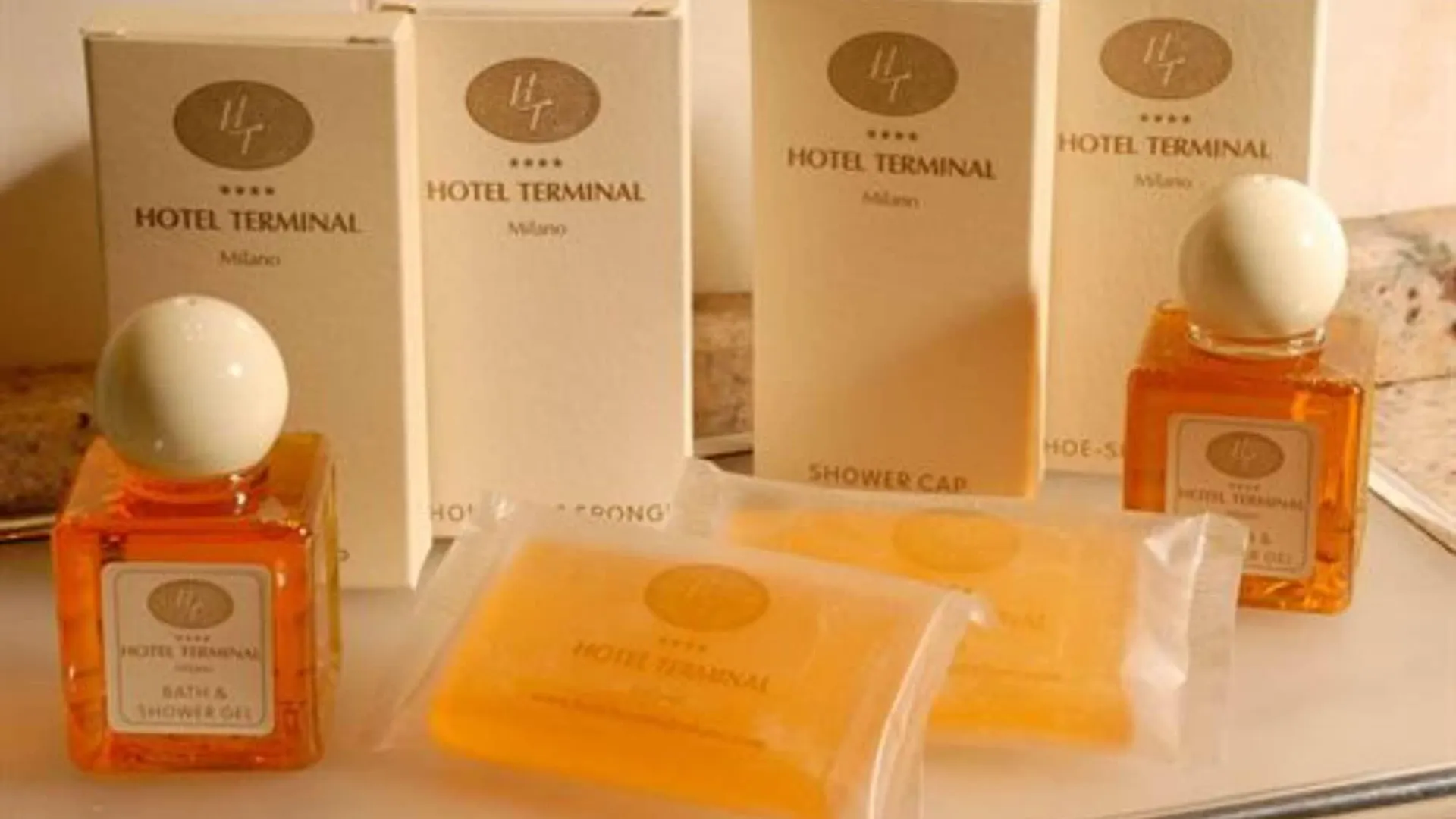Hotel Terminal Milano